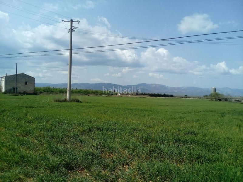 Foto c54805e3-ee79-4c4c-b800-137aa663d36c. Fondo rustico in partida tosses 1 in Ulldecona