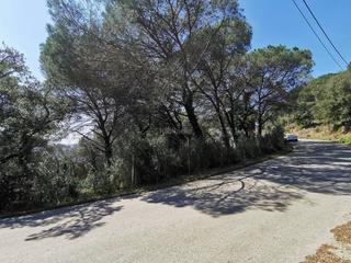 Terreny residencial a Carrer mil pins 61. Terreno edificable en dosrius