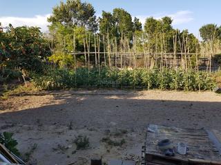 Residential Plot in Carrer de l'hort 3. Terreno en venta en zona muy tranquila de llorenç
