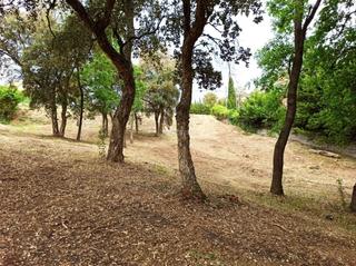 Terreny residencial a Carrer del roure 6. Terreno urbano 1000m2