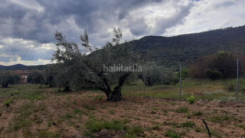 Foto 589b894d-2d3f-4748-bd41-a592b9360909. Terreny residencial a calle pera pere 6 a Cenicientos