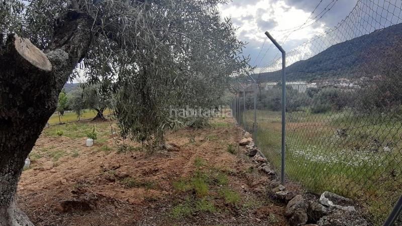 Foto 788fdfdf-5aad-4d4e-935b-c23b39c095a1. Terreny residencial a calle pera pere 6 a Cenicientos