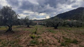 Terreno residencial en Calle pera pere 6. Finca urbanizable de 934 m² en cenicientos