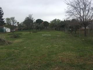 Terreny residencial a Calle olmos 17. Terreno en urbanizacion pinar de villeriche