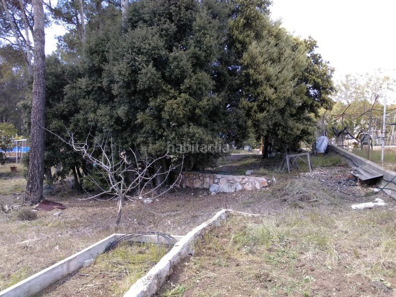 Foto 4967160e-31d9-40c5-8a83-ead0b87f4f96. Terreny residencial a carrer verge de núria 284 a Querol