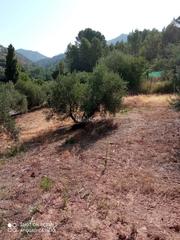 Finca rústica a Calle u.a.4 51x. Finca en venta orcera(jaén)