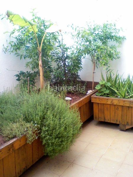 Foto 16d558c8-e74f-4424-b948-4fbd789a4b08. Casa adossada a carrer alqueries 64 a Nules