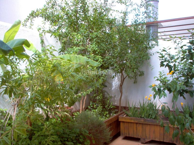 Foto 53b37cd0-907f-4825-9b78-18ff0b390b45. Casa adossada a carrer alqueries 64 a Nules