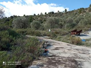 Finca rústica a Lugar diseminados 7. A la venta terreno de montaña en balones.