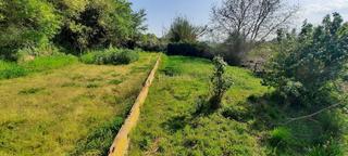 Finca rústica a Carrer martorell 115. Venta de finca rustica en piera