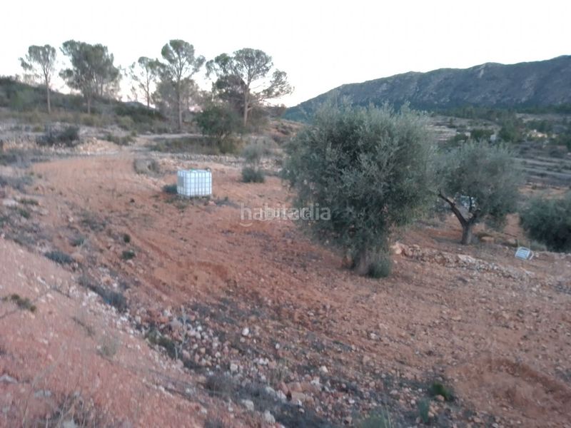 Foto 8c114f19-5a06-4266-9066-00e51b4e332d. Terreny residencial a boquera 1 a Romana (la)