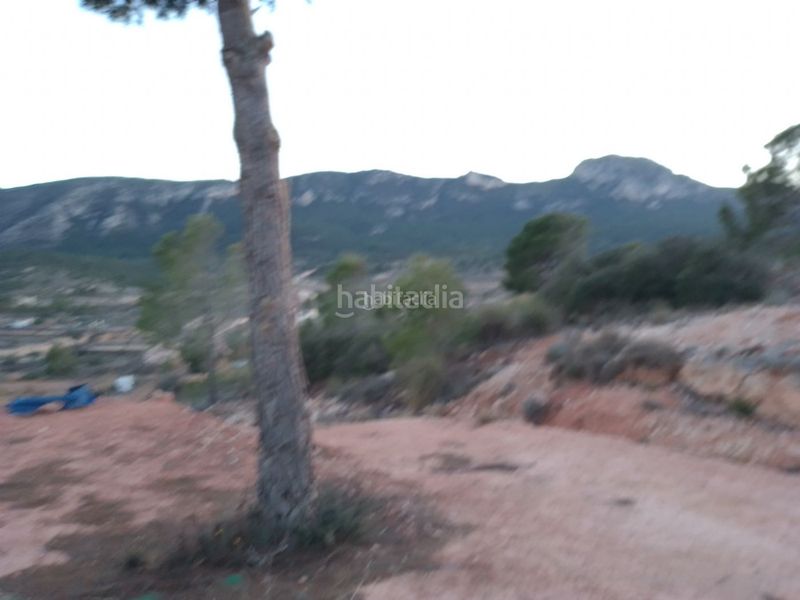 Foto be373454-062d-4332-8ccb-9af58e74b713. Terreny residencial a boquera 1 a Romana (la)