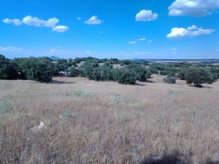 Finca rústica a Calle remiendos 1. Venta terreno rustico en menasalbas (toledo)