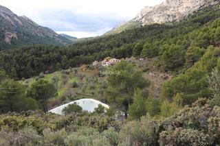 Masia a Carrer del molí 4. Viviendas y finca rústica