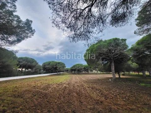 Foto 5ea4e9f3-a710-430f-8465-f3f5fbe834da. Finca rústica a carril del pilahito 9 a Roche Conil de la Frontera