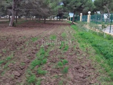 Foto b5c36abe-0e29-42de-9324-a33aa4c1d7cc. Finca rústica a carril del pilahito 9 a Roche Conil de la Frontera