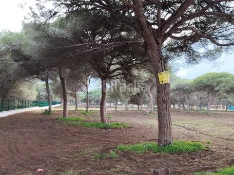 Foto d186d3f0-05ac-420a-9a19-a0da116010fe. Finca rústica a carril del pilahito 9 a Roche Conil de la Frontera