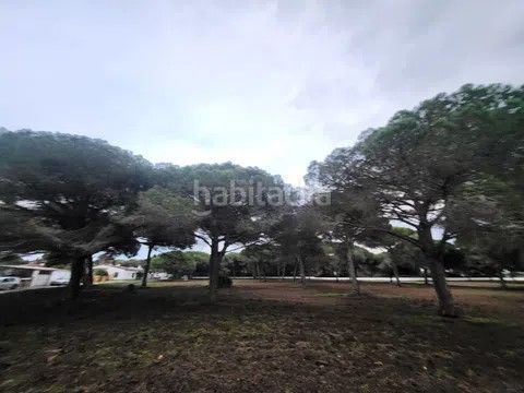 Foto eb4a8aa8-7b28-442d-8f94-22537ff68066. Finca rústica a carril del pilahito 9 a Roche Conil de la Frontera