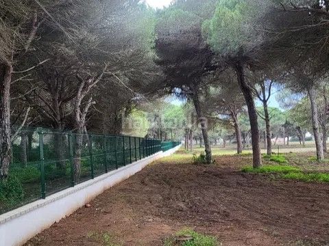 Foto fdbbe4a5-b180-4f8c-9e0f-d0eb036f706d. Finca rústica a carril del pilahito 9 a Roche Conil de la Frontera