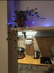 Alquiler Piso en Passatge sant bernat, 3. Alquiler piso amueblado ciutat vella barcelona
