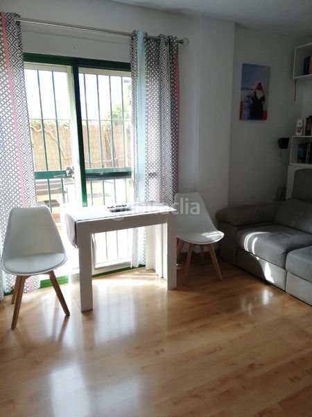 Planta baja en Calle ruy lopez, 40. Directo particular bajo con jardín zona tranquila (Málaga, Málaga)