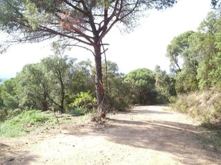 Finca rústica en Urbanització cal batlle, sn. Terrenos rústicos