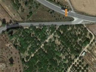 Fondo rustico in Rm-714 251. Se vende terreno frutales en producción