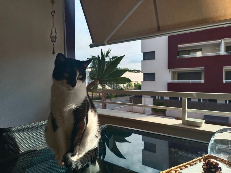 Foto 965c7e32-dabb-46ce-88f4-0210aab5a45d. Dúplex en carrer de josep vicenç foix 24 precioso duplex playa en Calafell