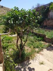 Casa a Calle joaquín costa 23. Finca rústica en venta en el frasno