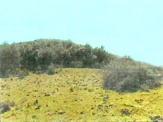 Fondo rustico in Camí miranda (de la), s/n. Sociedad limitada unipersonal