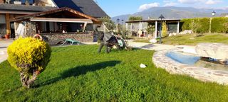 Chalet in Carrer mirador, 2. Exclusivo chalet a los cuatro vientos