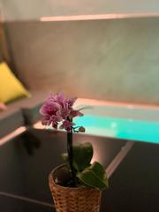 Rent House in Calle pintada 57. Casa  con piscina a 3 minutos andando de la playa