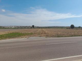 Finca rústica a Lo pedreño 251. Terreno en partida lo pedreño san fulgencio km 9