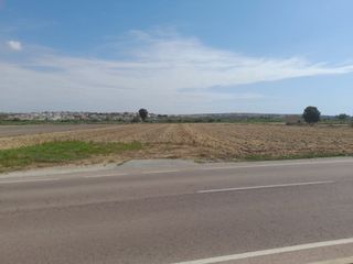 Finca rústica en Partida lo predeño, km 9. Terreno en partida lo pedreño san fulgencio km 9