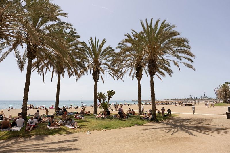 Piso en Paseo maritimo ciudad de melilla, 17. Piso a 15 metros de la playa de la malagueta (Málaga, Málaga)