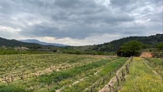 Finca rústica a Carretera de la morera 11. Finca viñedo, cornudella montsant, tarragona
