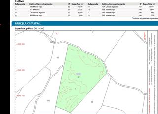 Lloguer Finca rústica a Carrer la pobla 8. Terreno rústico con 400 olivos i agua