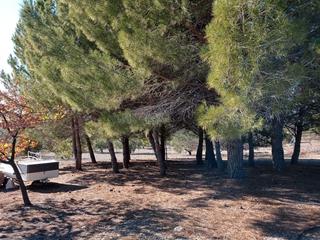 Lloguer Finca rústica a Passeig nord 10. Alquilo terreno cerca de reus (tarragona)
