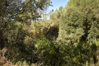 Residential Plot in Carrer baix llobregat el, 10. Terreny residencial a sesoliveres particular