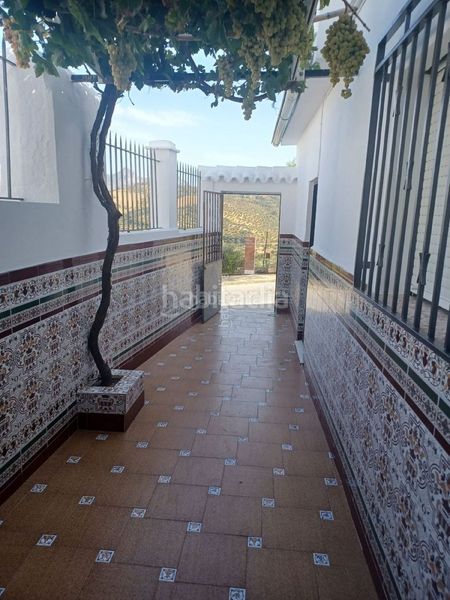 Foto bf31f145-6f94-4e7e-a819-e64df9eecda9. Affitto casa in calle calvario 58 in Algodonales
