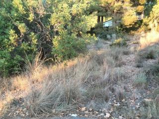 Finca rústica a Plaça poligono 11 316. Pinada en venta en el pla de pavies