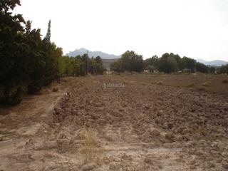 Finca rústica a Plaça poligono 2 176. Terreno rustico edificable colonia santa eulalia