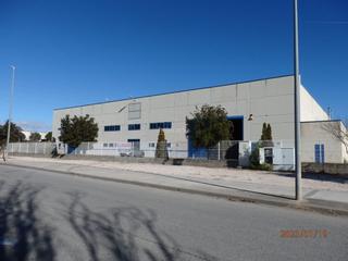 Rent Industrial building in Carrer polígon industrial foix 1. Nave de 8.357 m2, en l’arboç del penedes
