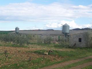 Casa a Calle a camino 14. Alpartir