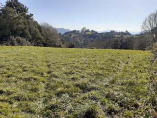 Finca rústica a Goitiz bidea 3. Terreno en mundaka situado en urdaibai