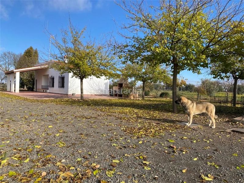 Foto 998f73d1-30d3-4178-b4dd-8261a3730841. Casa a cr-511 4 a Almagro