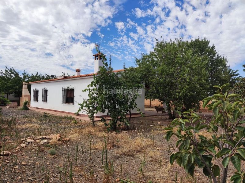 Foto d4ccc254-3b7e-4db4-bfdd-d9c79924d40c. Casa a cr-511 4 a Almagro