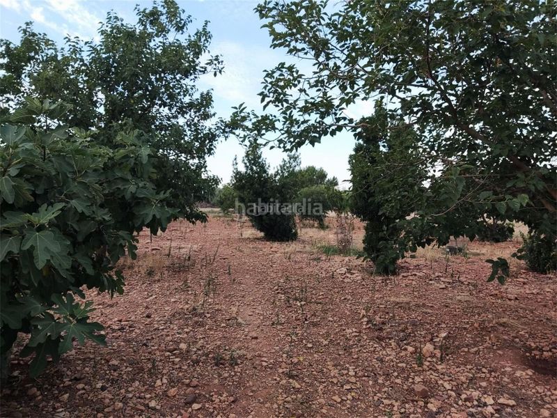 Foto e5f12531-6f4a-4063-baac-9b52c7b45515. Casa a cr-511 4 a Almagro
