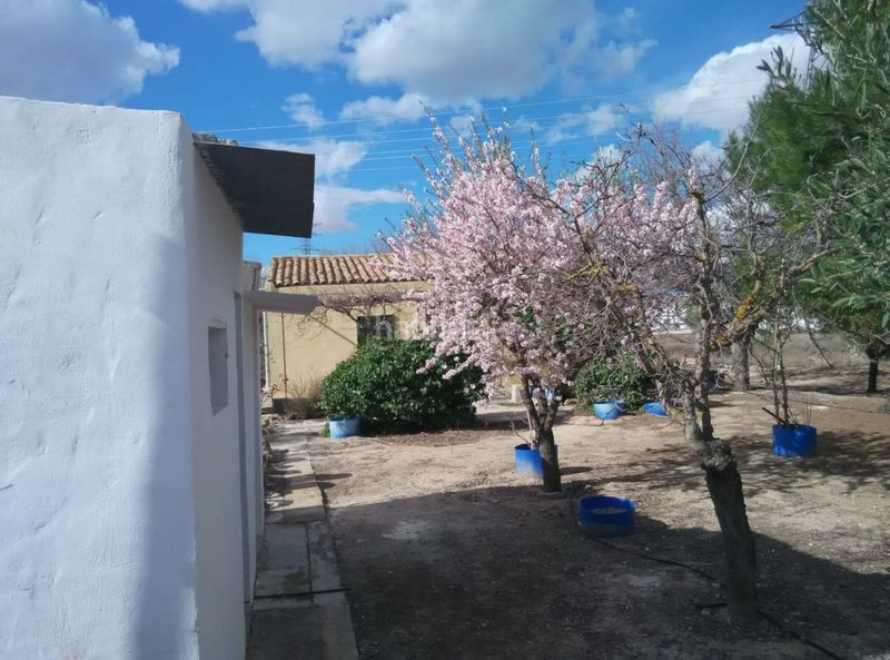 Foto f29ef9dd-85b5-43e8-b752-dca813224b2d. Flat in partida la puentecilla 87 in Las Virtudes Villena
