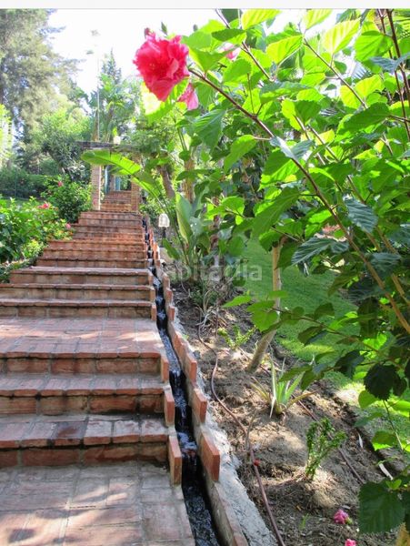 Ático en Avenida casarabonela (r marbella),. Atico en jardín tropical (Marbella, Málaga)